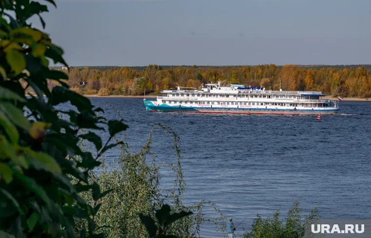 Полномочия гендиректора были продлены еще на три года
