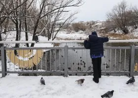 Адвокат пояснил, какое наказание понесет свердловчанка, гулявшая с босым сыном