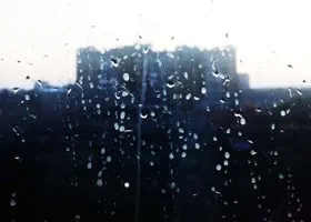 Фотография из галереи