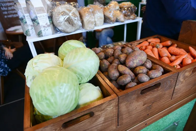 Открытие XXIV областной агропромышленной выставки «АГРО-2017». Челябинск, капуста, овощи, сельское хозяйство, морковь, картофель