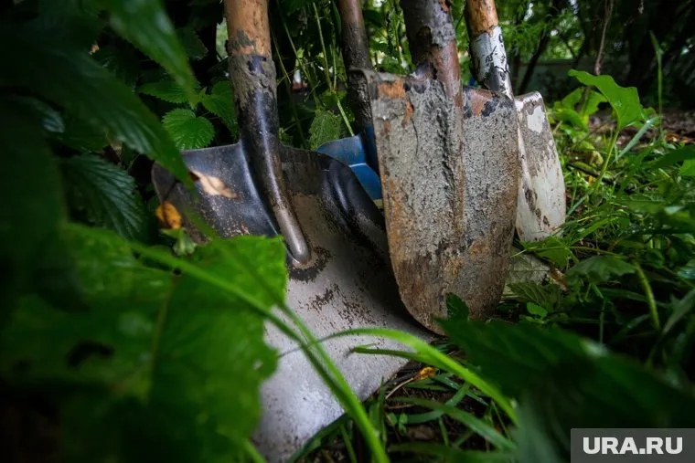 Через некоторое время молодой человек закопал тело на участке у дома