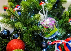 «Оливье, фильмы и подарки»: челябинцы рассказали, как встретят Новый год