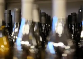 Паленая чача из Сочи убивает туристов: что известно о деле ядовитого алкоголя