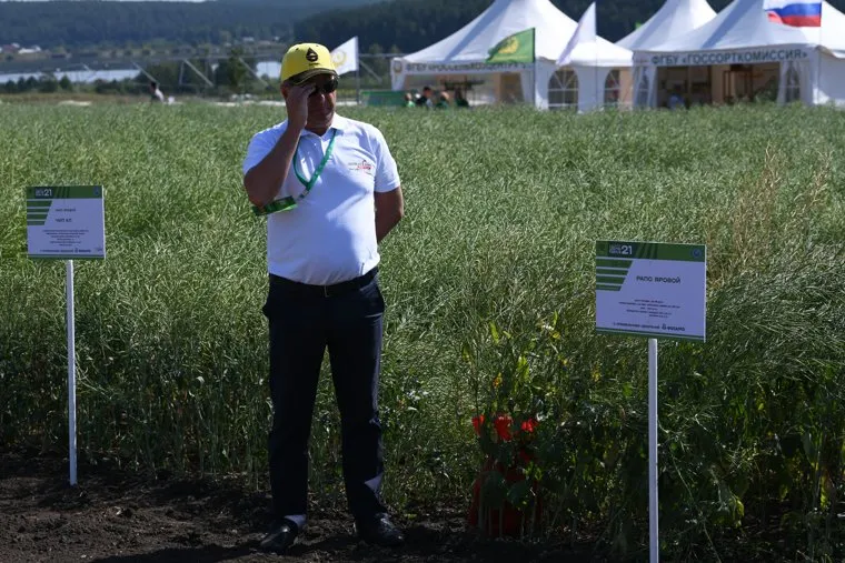 Второй день работы Всероссийского дня поля - 2021. Свердловская область, Кадниково