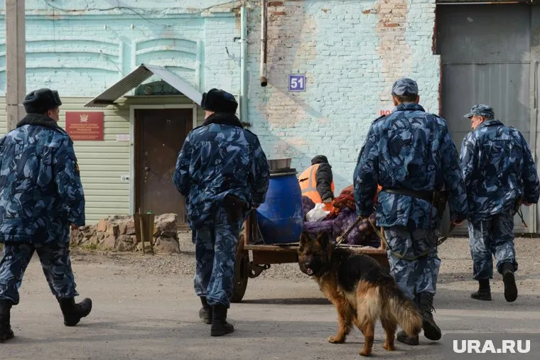 Наказание получили сразу несколько сотрудников колонии