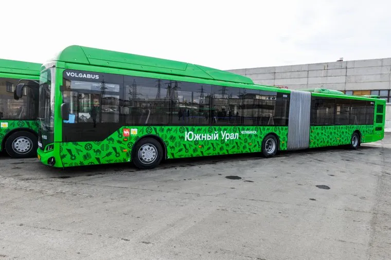 Лошкин с гармошкой. Челябинск