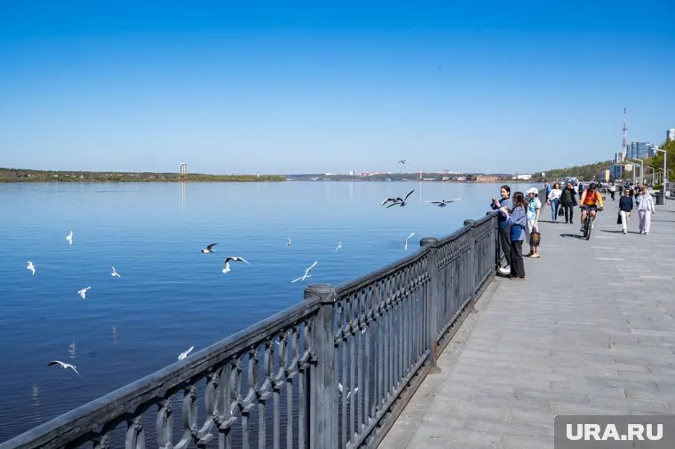 Вильфанд заявил, что отсутствие снега — это фактор, который способствует тому, что температура высокая