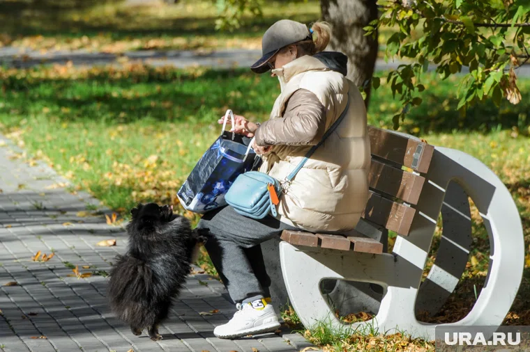 На Челябинскую область идет сильное похолодание (архивное фото)