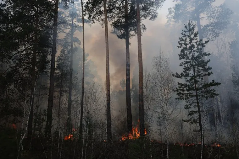 Пожары. Курган