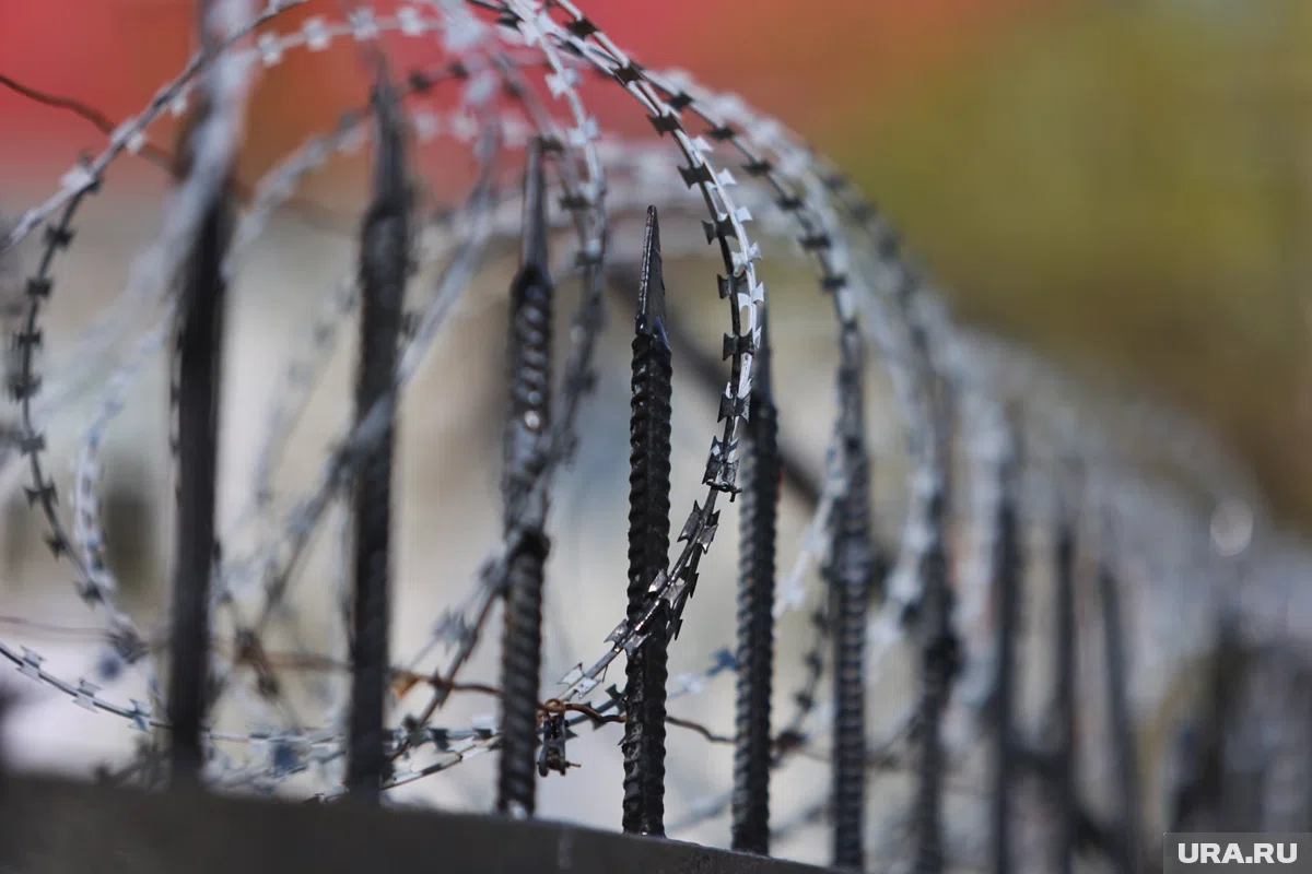 Мужчина проведет в колонии шесть лет