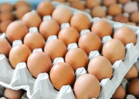 Фотография из галереи