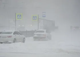 Фотография из галереи