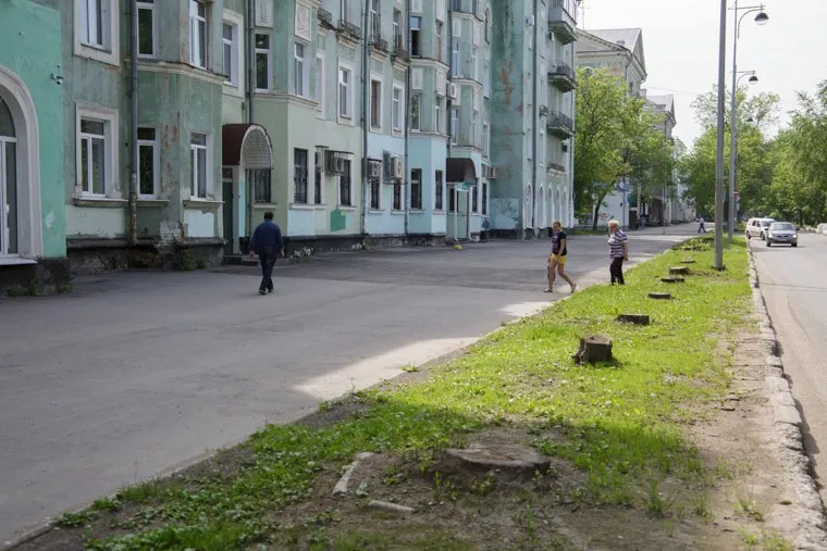 Вырубка деревьев на тихом Компросе. Пермь