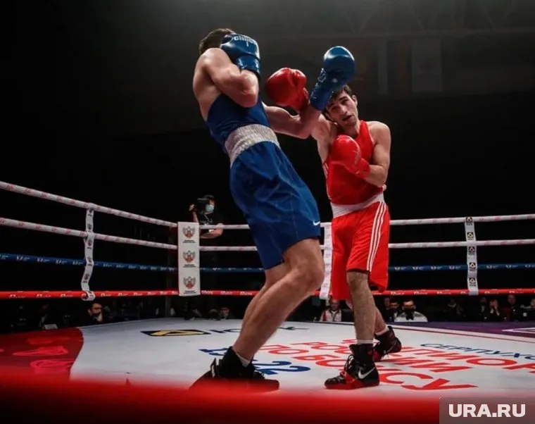 В чемпионате участвуют 219 боксеров