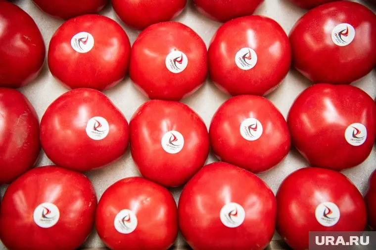 Помидоры подешевели на 4,41% за неделю