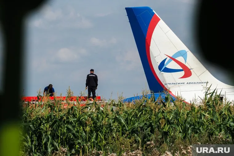 Сейчас выяснением обстоятельств инцидента занимаются СК и Росавиация (архивное фото)