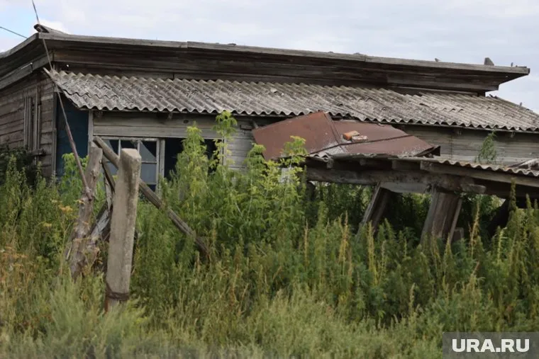 Паньково зарастает деревьями и кустарниками