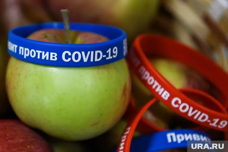 Организации культуры и здравоохранения продолжат свою деятельность в нерабочую неделю