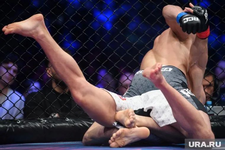 UFC покажут в кинотеатре в ночь с 26 на 27 октября (архивное фото)