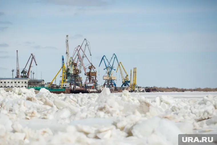 Деньги планируется потратить на Обскую губу