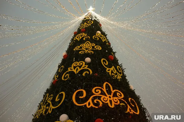 Главная новогодняя ель займет место на Соборной площади Кремля