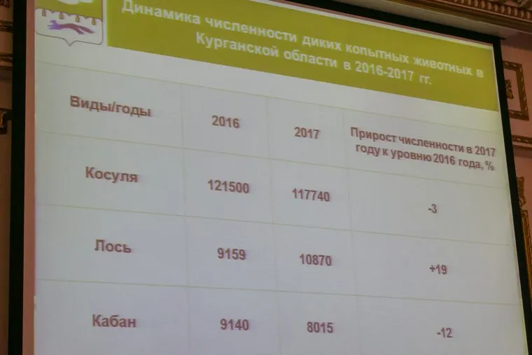 Совещание у губернатора. Курган, монитор, экран, численность диких животных