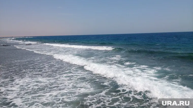 Водолазы ежедневно работают в Черном море