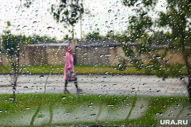 Небольшой дождь будет днем в Курганской области