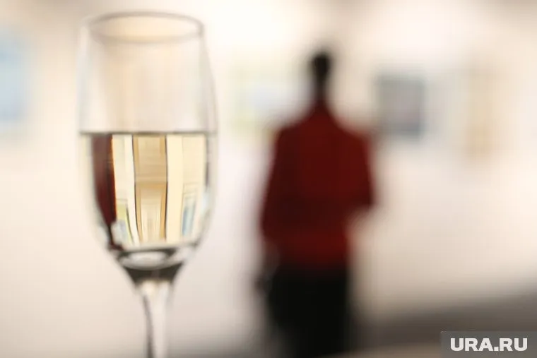 Новую команду погрузят в атмосферу Франции с помощью курсов