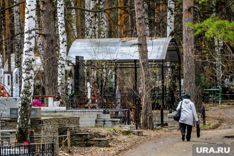 Хулиганов ищет полиция