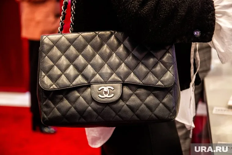 Курганские политики рассказали, где закупаются костюмами и футболками