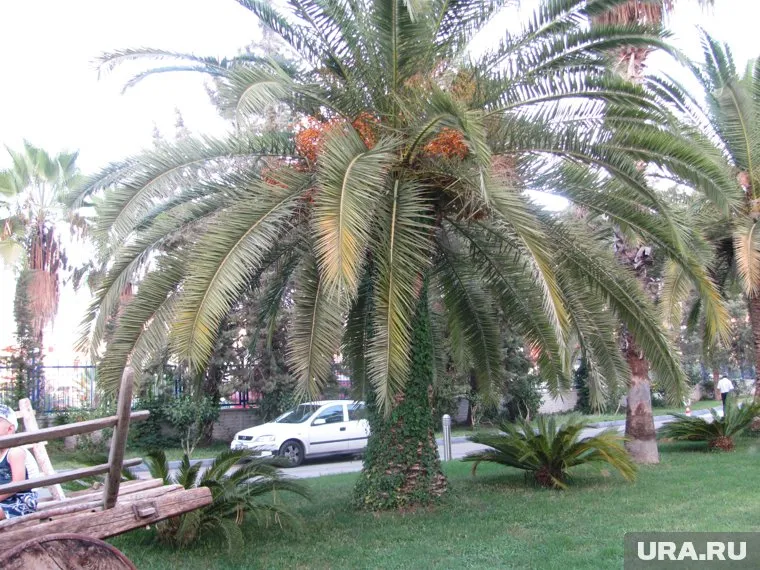 Российский консул назвал неприемлемым поведение руководства гостиницы