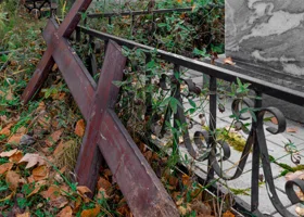 «Моего отца затоптали»: челябинцы ужаснулись следами копыт и навозу на могилах