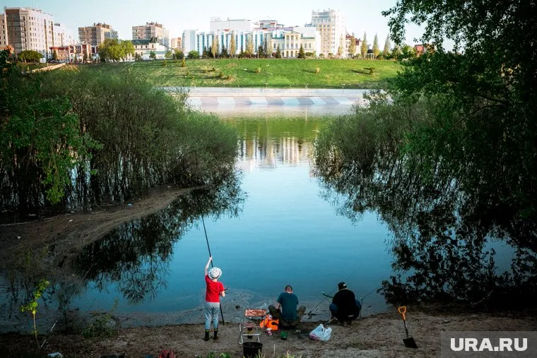 В Тюмени и окрестностях можно добыть как хищников, так и мирную рыбу
