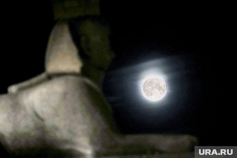 Россиянам рассказали, как и когда можно будет увидеть самую большую полую Луну в этом году