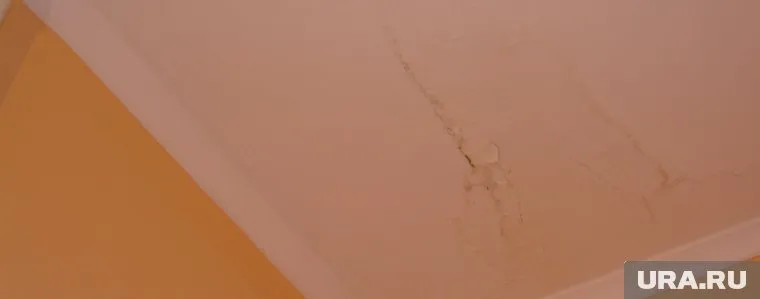 Кровля протекла над квартирой и подъездом