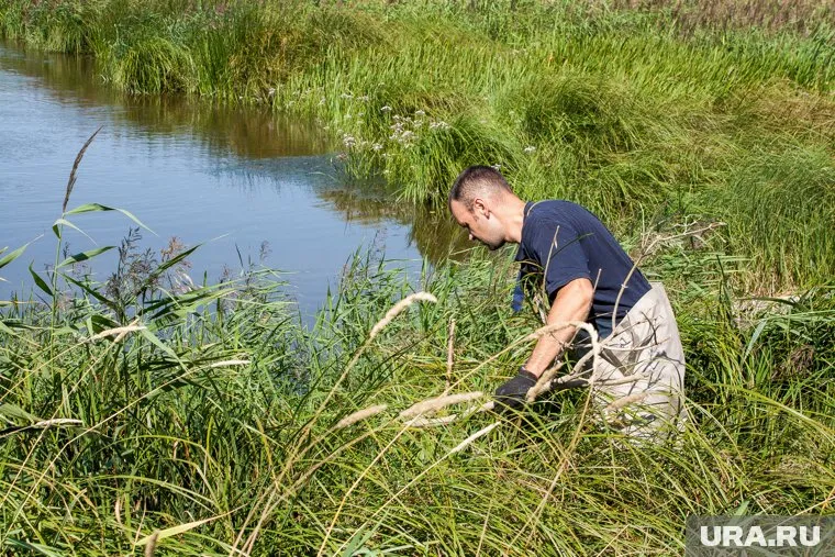 Тело девочки было обнаружено 19 августа на берегу озера в Тюмени