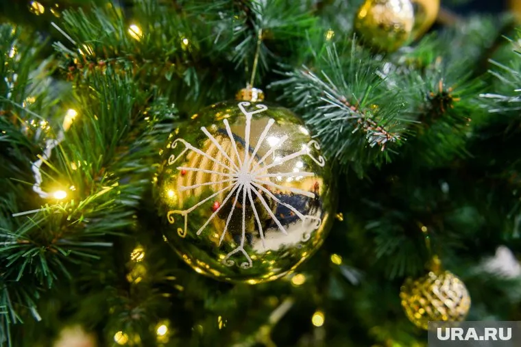 Елка была спилена в результате санитарной рубки