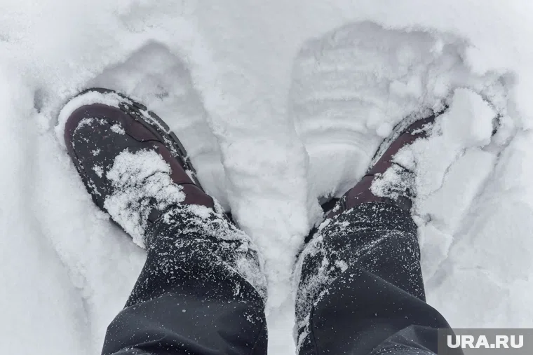 Снег ожидается 11 октября в Курганской области
