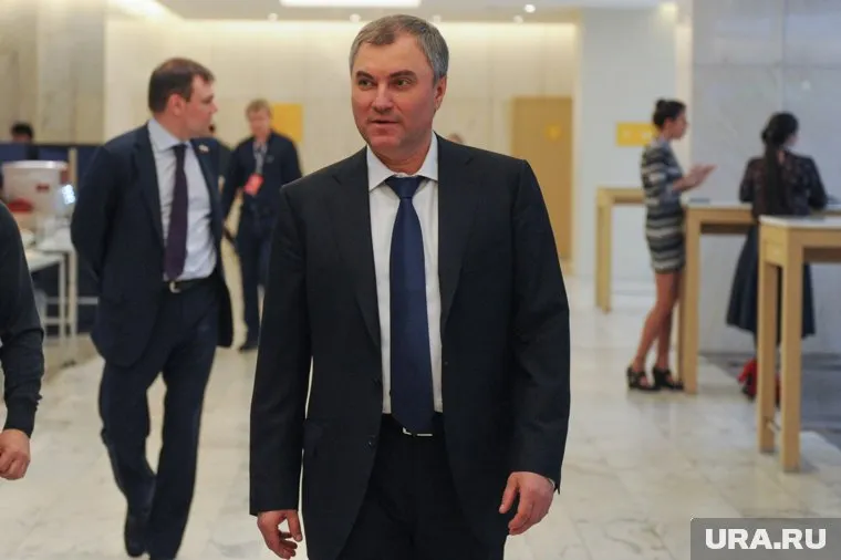 Вячеслав Володин заявил, что педофилы должны отбывать наказание в самых жестких условиях