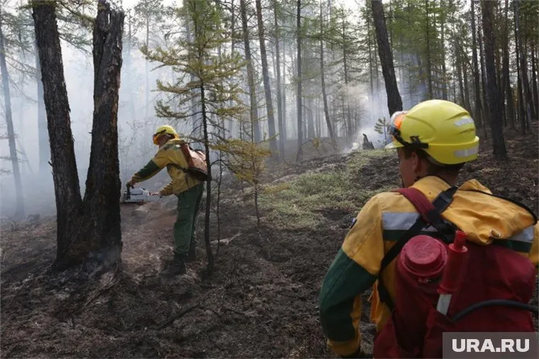 Пожар в зоне ЧАЭС удалось потушить с помощью дождя