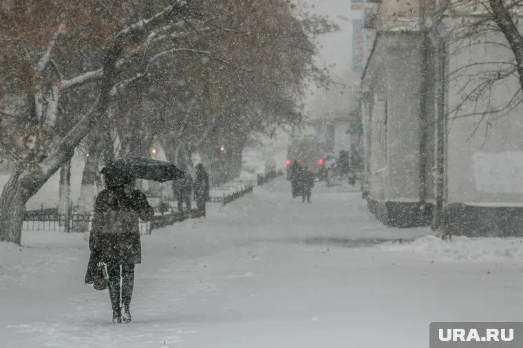 Порывы ветра будут достигать 21 метра в секунду (архивное фото)