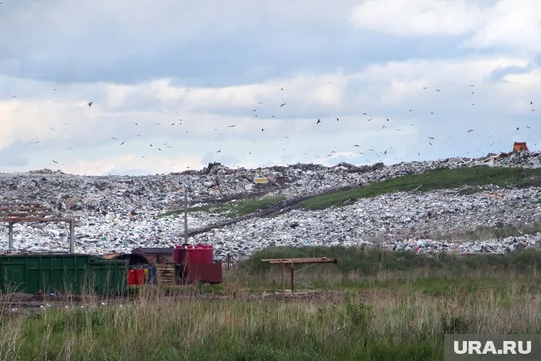 Строительство полигона планируют завершить к концу 2027 года