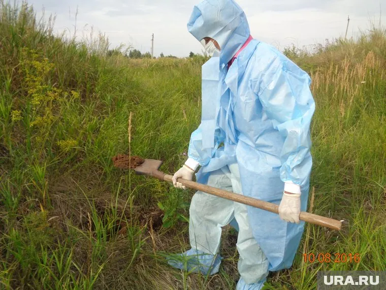На карте Южного Урала отмечены почти два десятка сибироязвенных захоронений