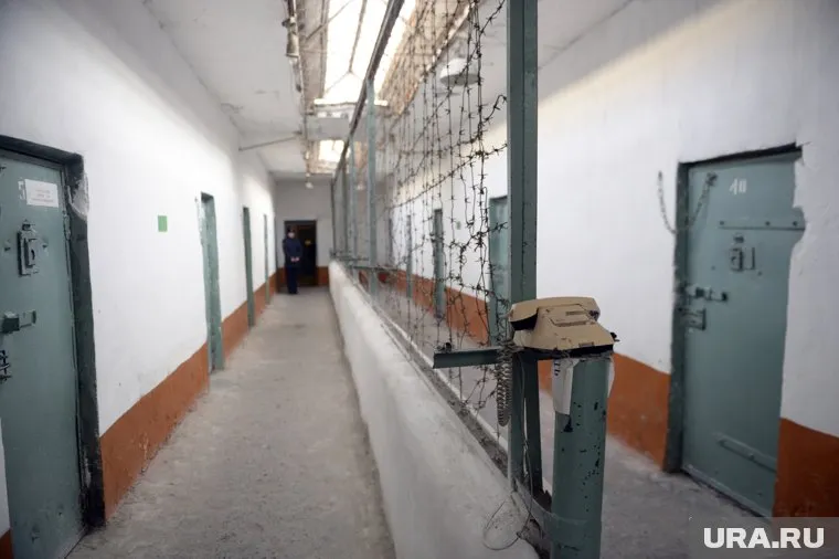 Мужчине назначено наказание в виде девяти лет колонии строгого режима