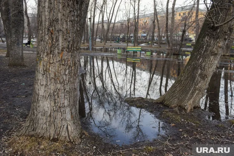 В парке не предусмотрен водоотвод