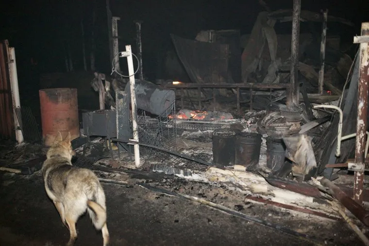 Пожар в снт Солнышко