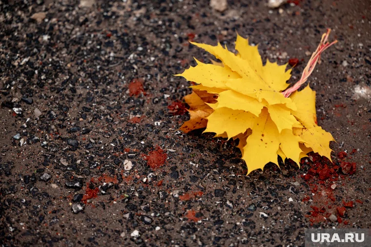 8 и 9 ноября погоду будет определять циклоническая депрессия 