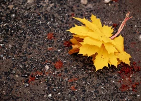 Пермские синоптики рассказали о погоде на выходные 