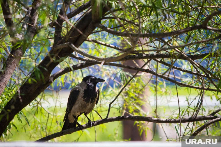 9 октября - день, богатый на праздники